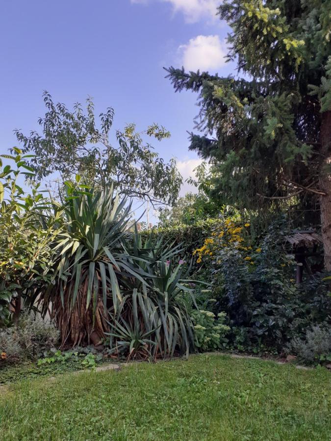 Gemutliche Zentrumsnahe Ferienwohnungen Mit Gemeinschaftsgarten Wittenberg ภายนอก รูปภาพ